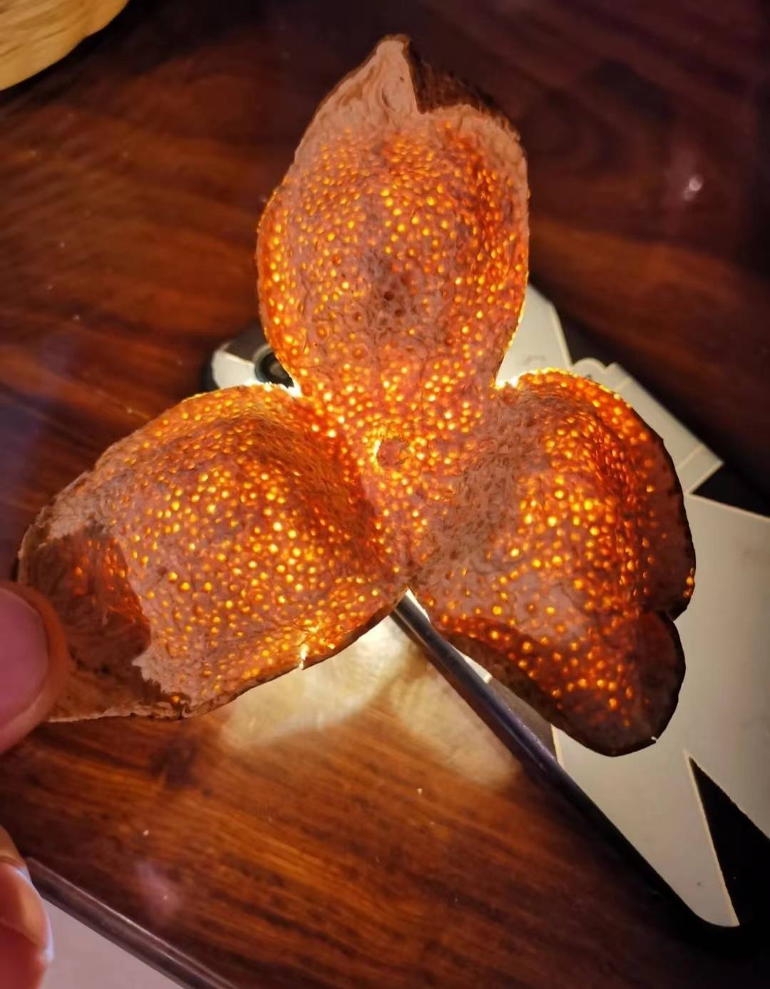 怎样区分圈枝树和驳枝树,如何分辨圈枝陈皮和驳枝陈皮