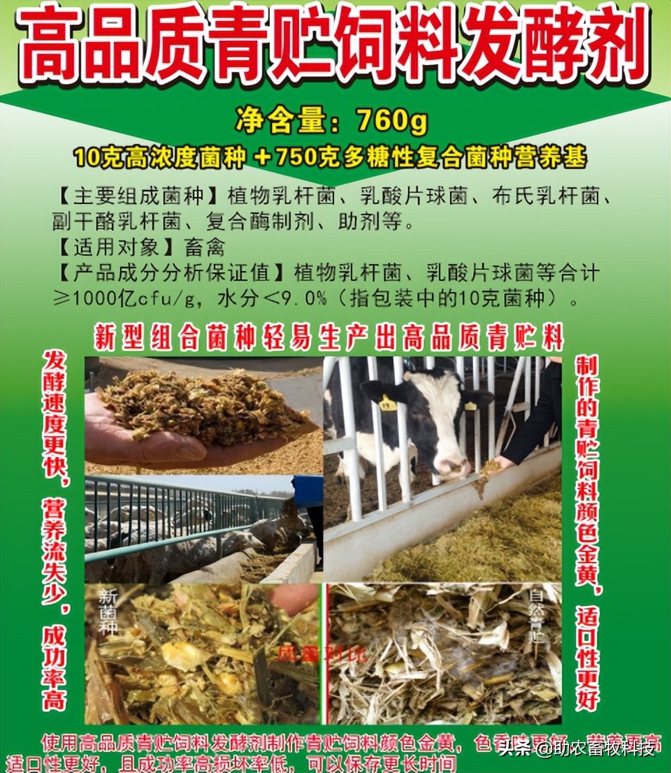 不同比例甘蔗渣在糖蜜添加下对发酵型全混合日粮品质消化率的影响