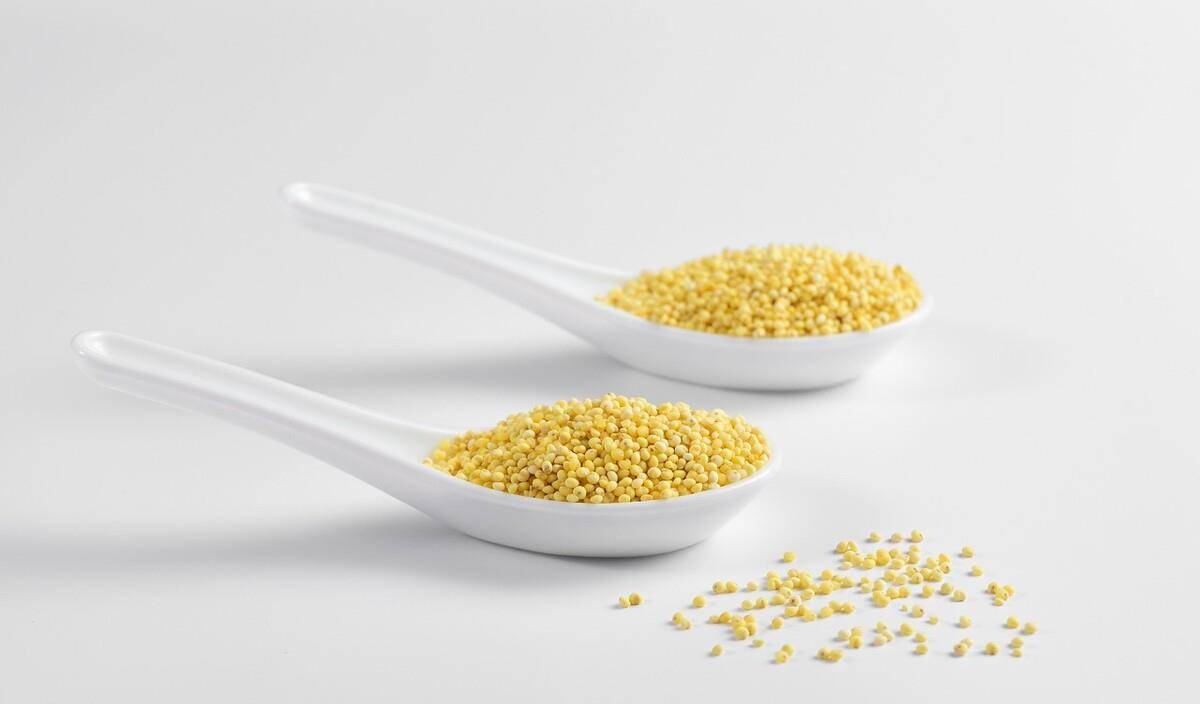 小米大黄米黍子米有什么不同,东北小米和大黄米的区别