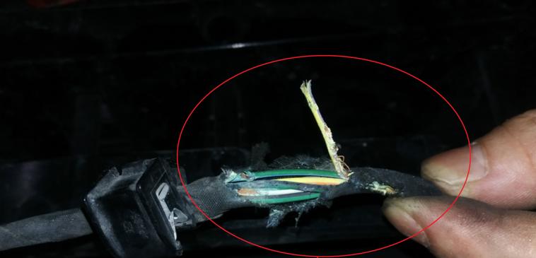 福特蒙迪欧致胜维修案例大全,蒙迪欧空调间歇不制冷是怎么回事