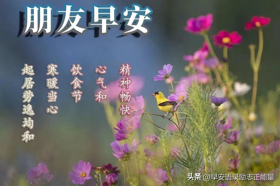 早安励志语录早安经典励志短句,有关早安的正能量句子励志简短