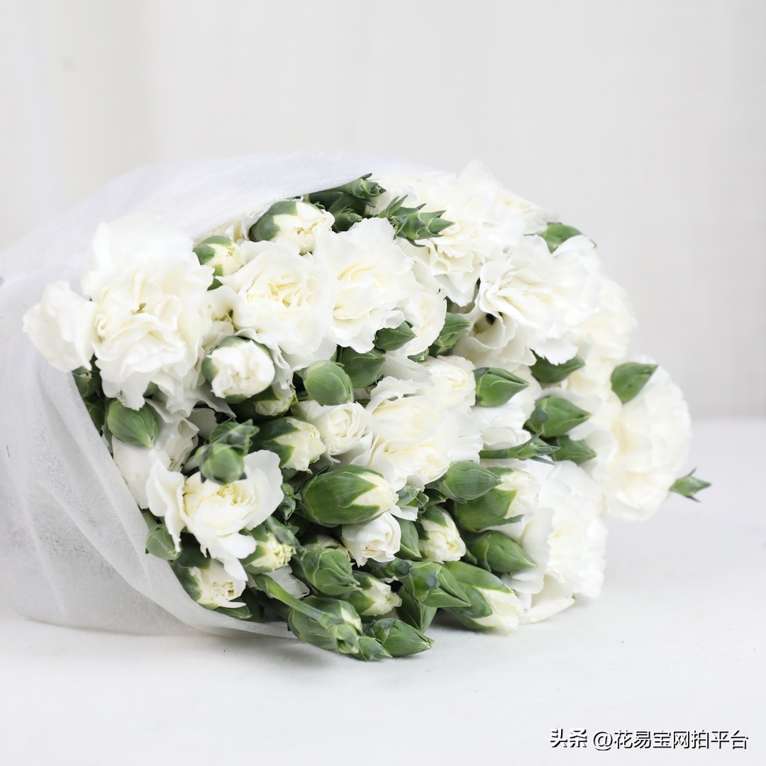 女神节快到了，哪些花材值得备货？内含优质卖家推荐！