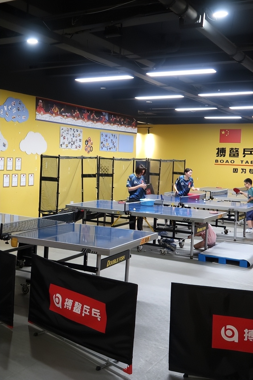 收藏乒乓球推荐,收藏价值高羽毛球拍