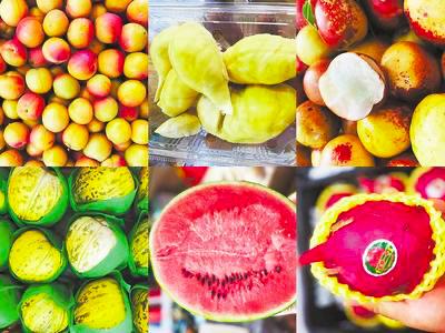 石家庄社区团购最新现状,石家庄社区团购平台哪个好