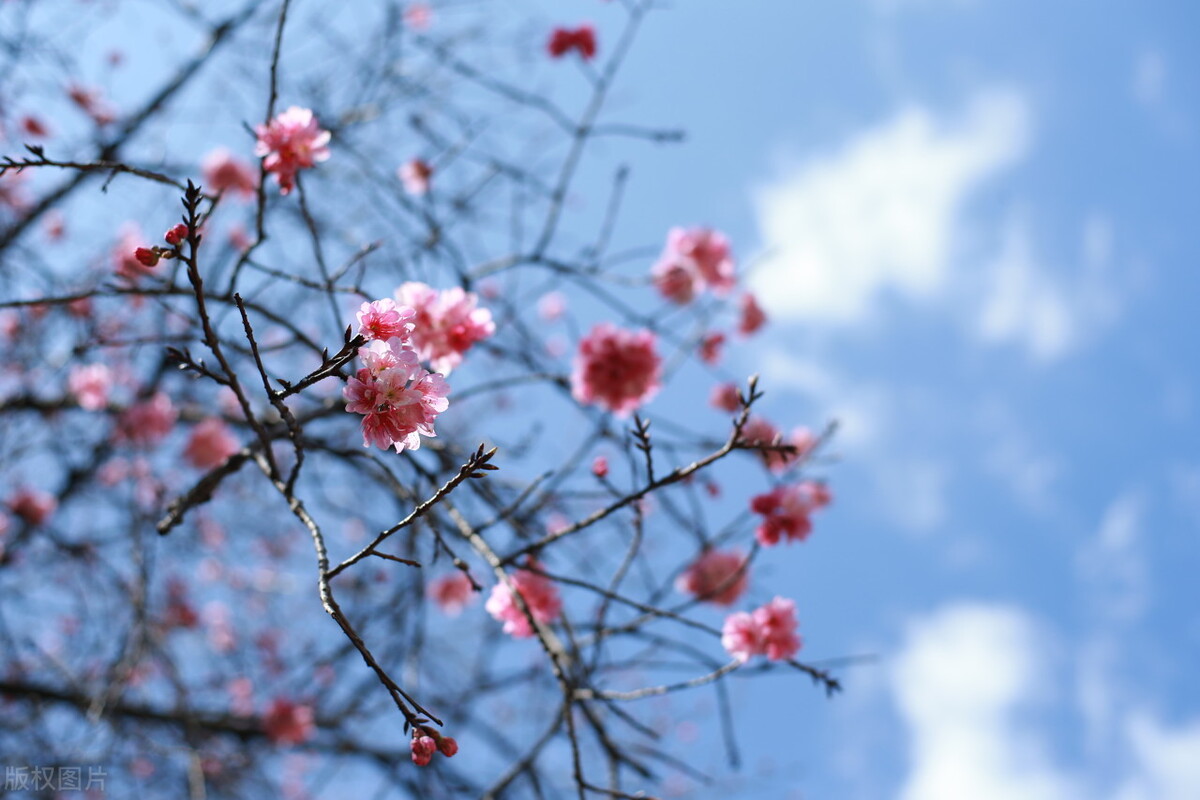 告别2022，未来可期，时光静好，浅笑安然，向着温暖那方走去