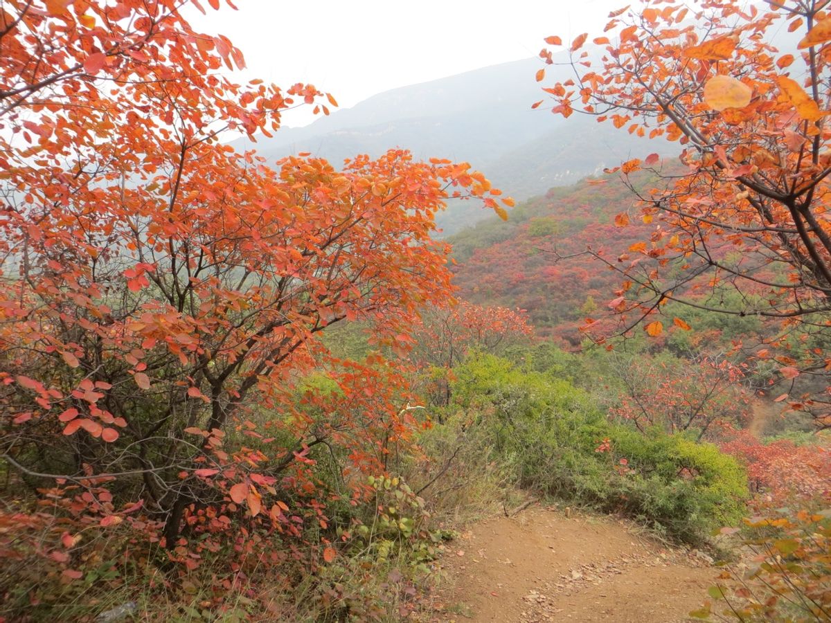 海内东经全文讲解,海经海内东经