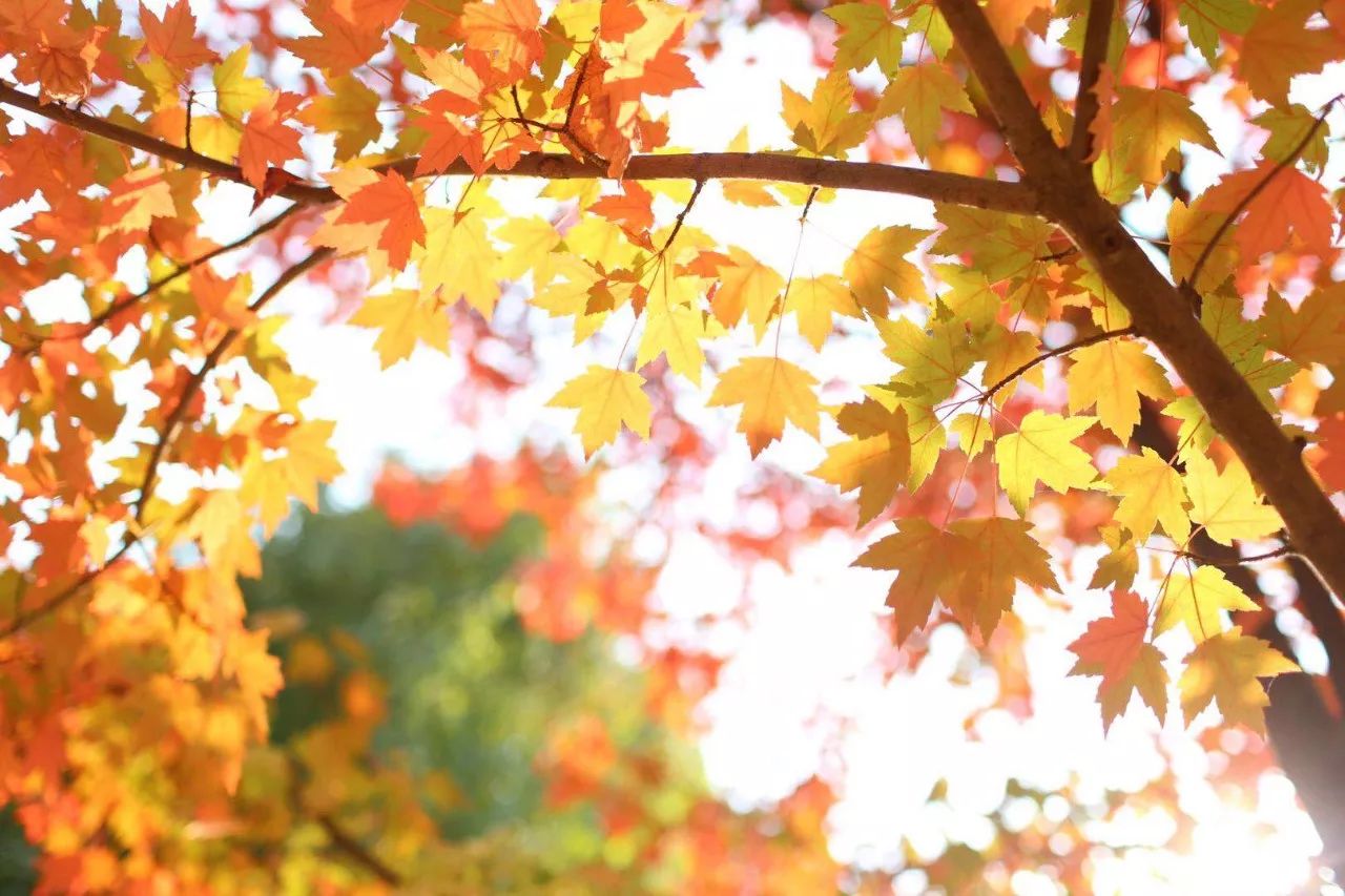 为何选择中国农业大学,为什么选择农业水利专业