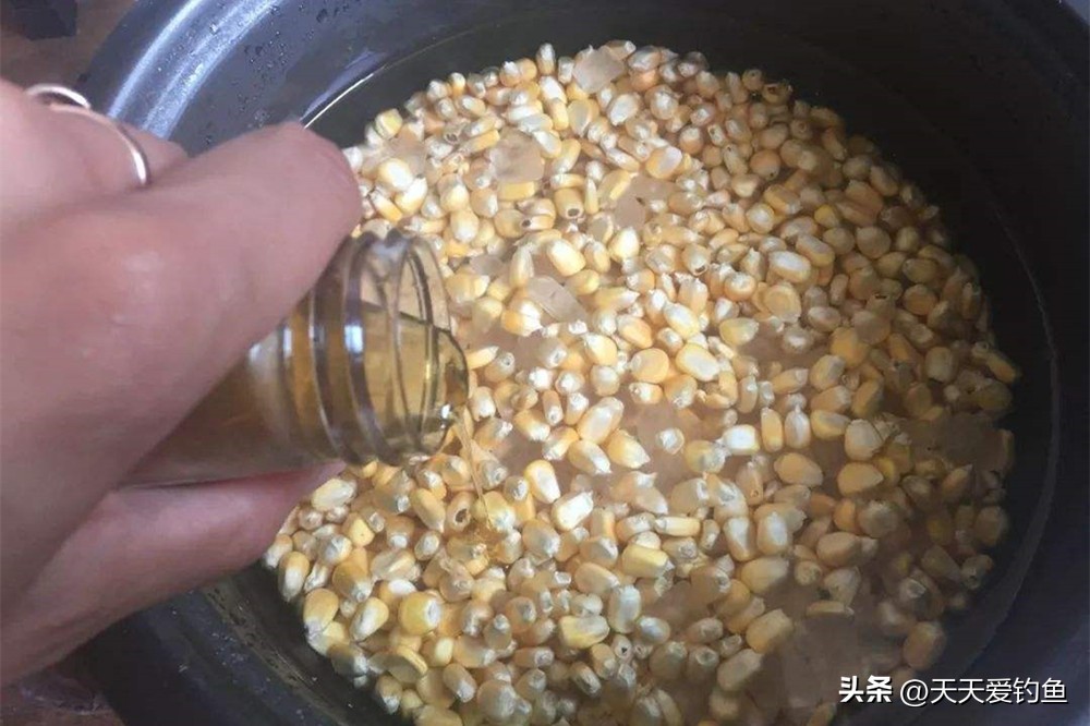 黑坑钓草鱼怎样打窝能够快速聚鱼,野钓草鱼发窝最快有什么办法