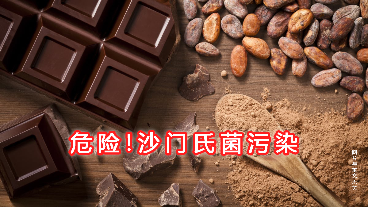 污染沙门氏菌巧克力已销往中国,沙门氏菌巧克力事件所存在的隐患