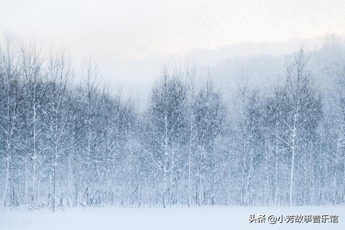 “赶紧回来，结婚证不能领！”女子和男友正领证，母亲打电话制止