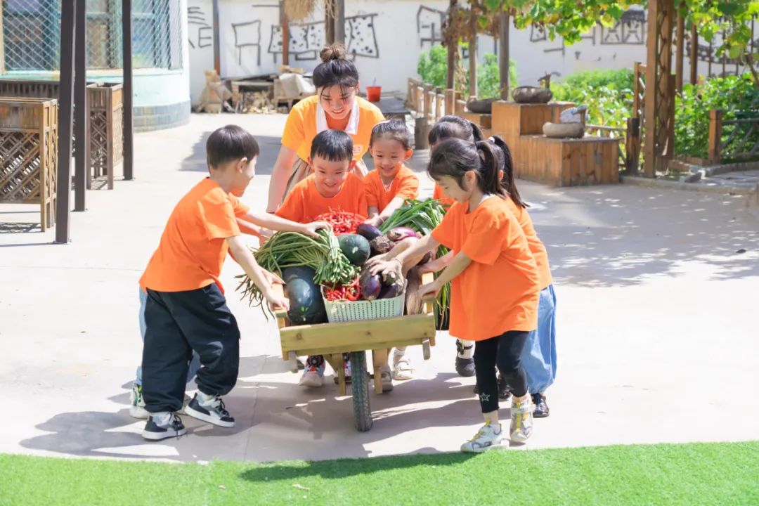 秋光如岁邂逅一场欢喜——临猗县直一园开学季