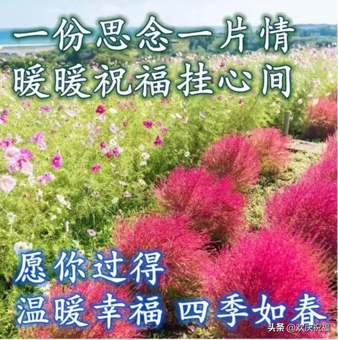 友情问候语早上好图片大全,早上好祝福语图片优美表情