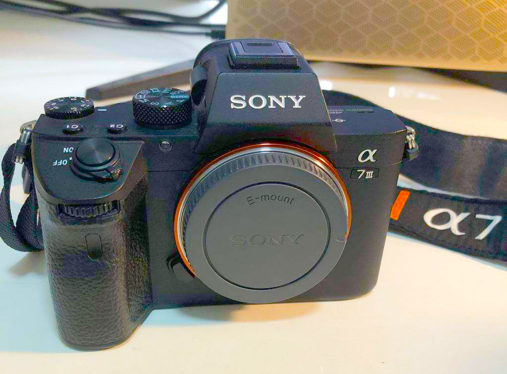 尼康索尼佳能拍照对比图,数码相机索尼和佳能哪个好