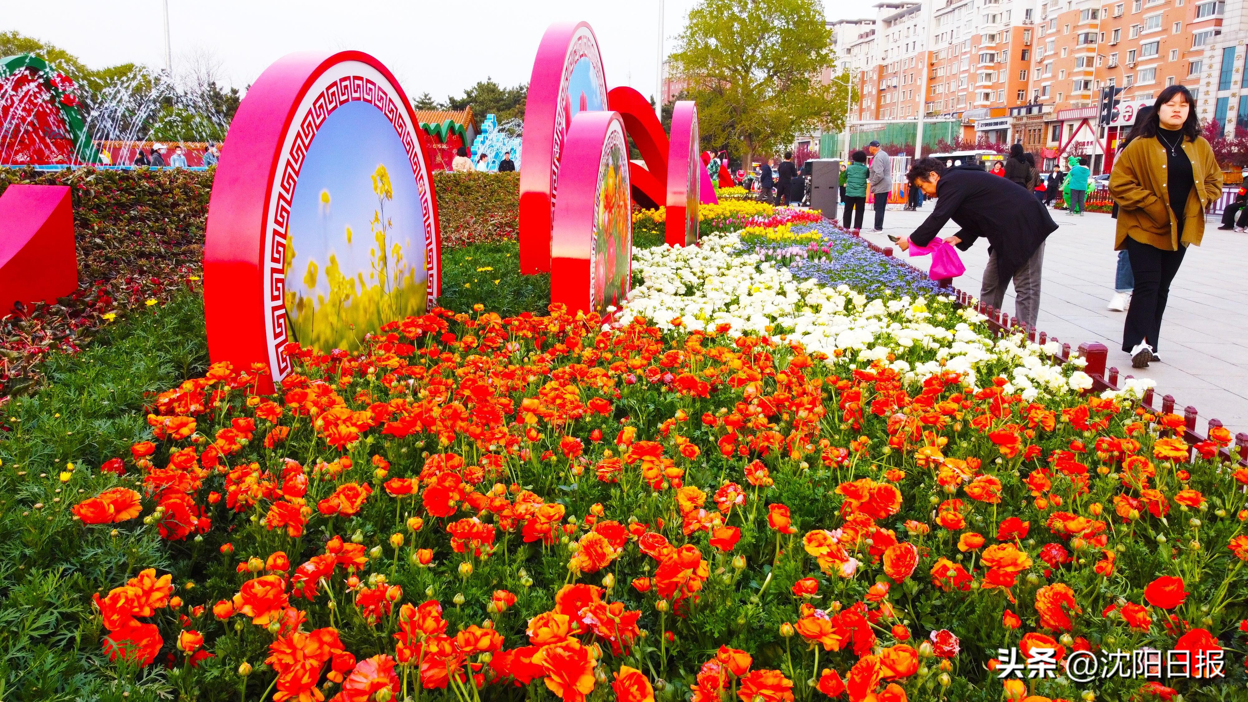 文旅景区五一活动,五一假期丰富文旅业态