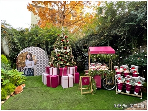 小嶋阳菜akb48teama成员,akb48小嶋阳菜c位曲