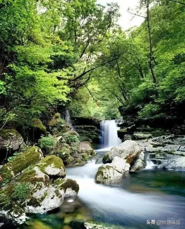 当美景妙图遇见善行义举