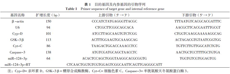 通督调神,通督调神盘龙针