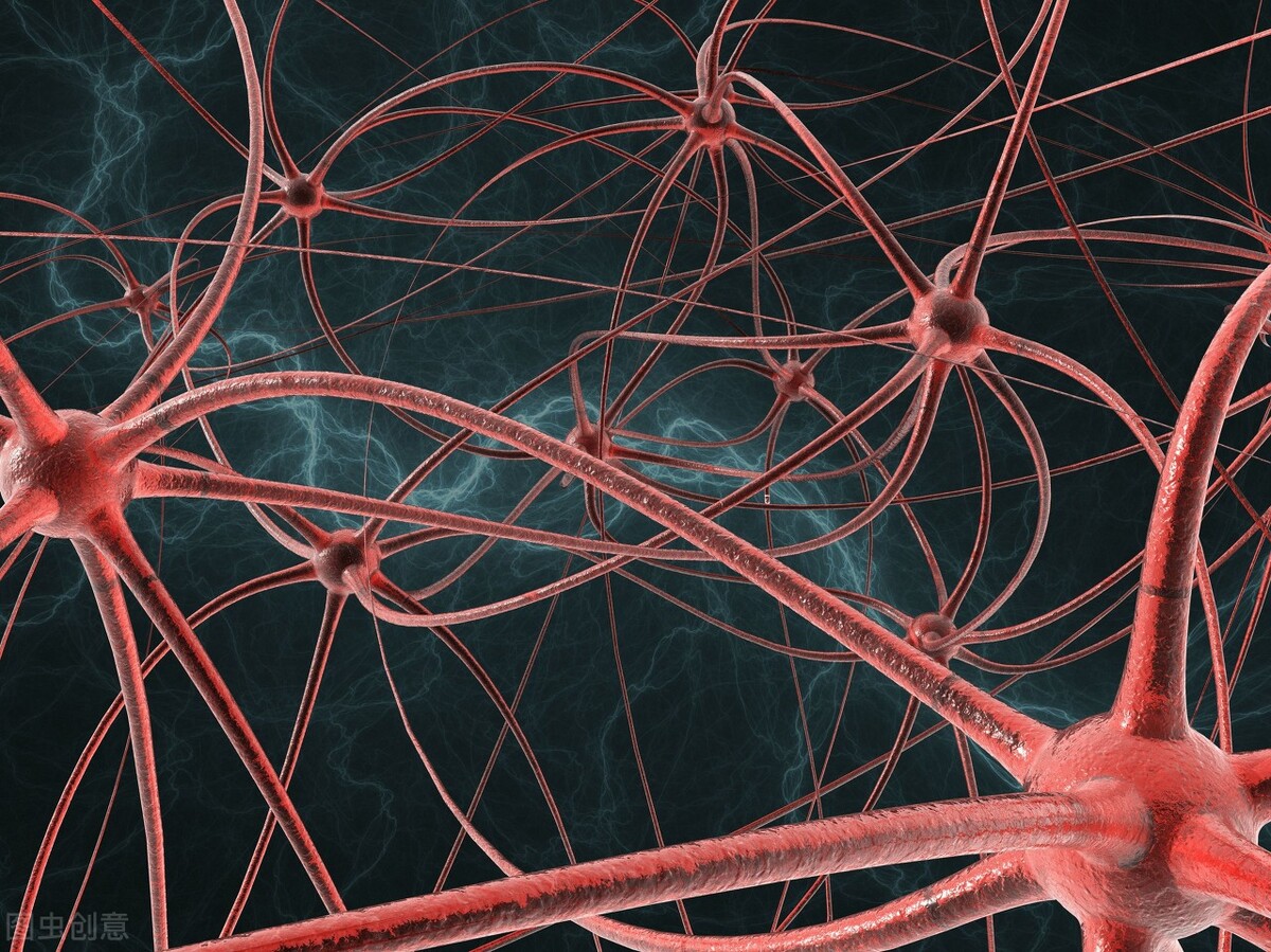 老人即将离世前亲人会有什么征兆,亲人离世前有啥征兆