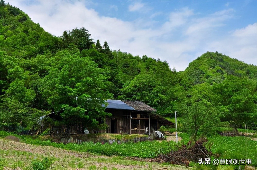 侯海洋基层风云全文免费阅读,侯海洋基层风云完整版免费听