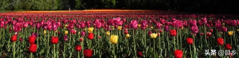 公务员职务职级晋升中遇到的问题,形成公务员职级晋升工作体制