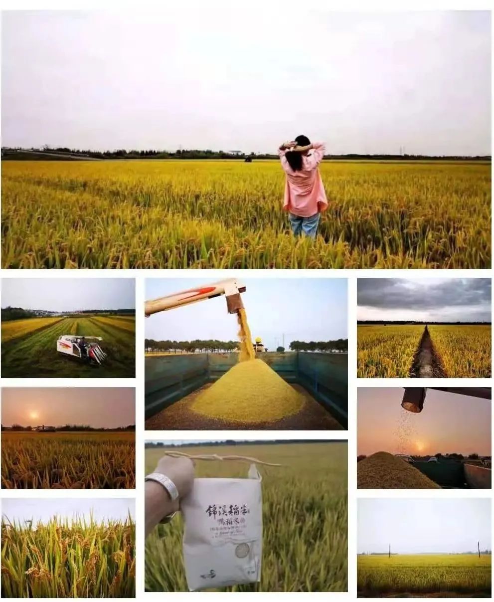 从民宿到整村运营,从民宿到民宿集群