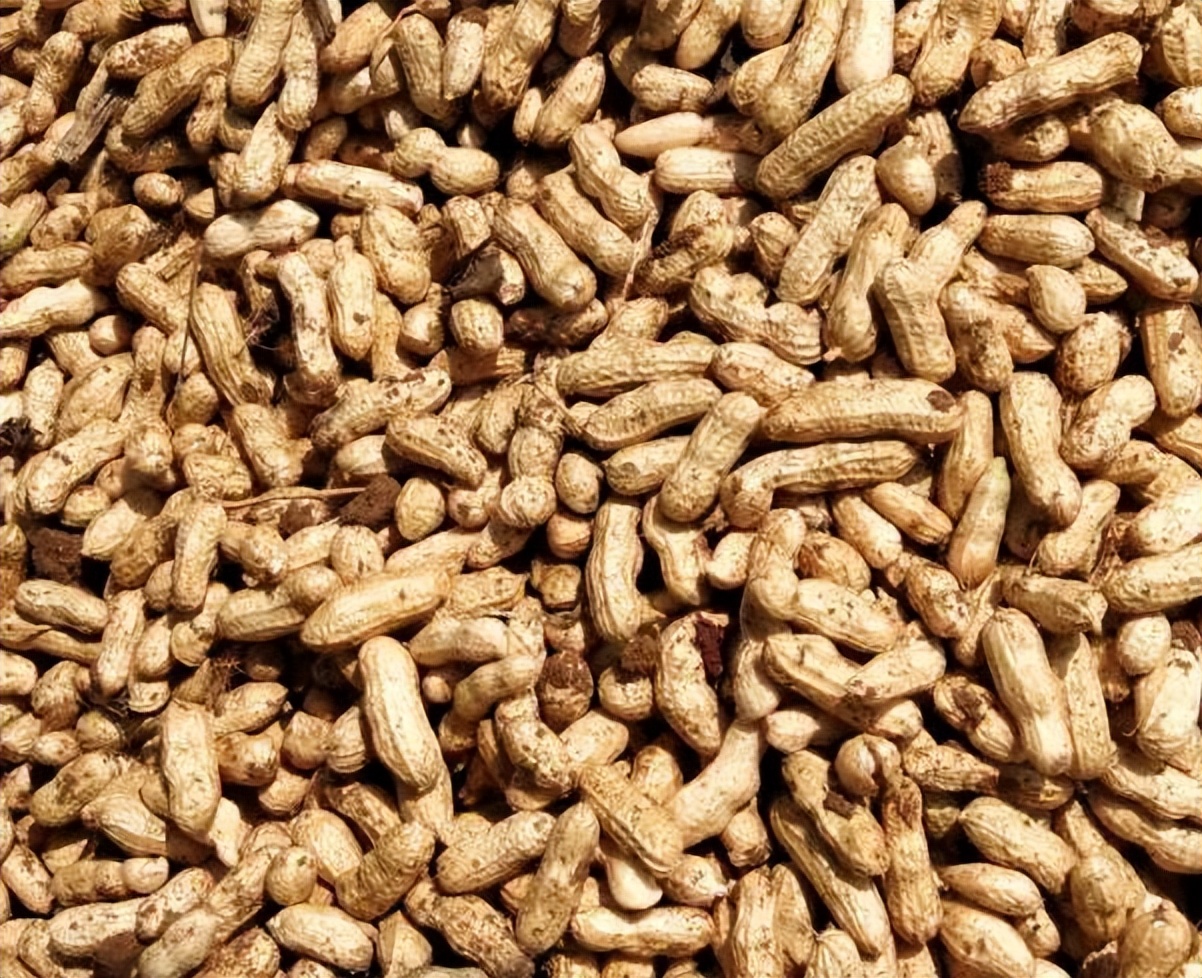 常吃花生能治便秘吗,经常吃生花生米可以治便秘吗