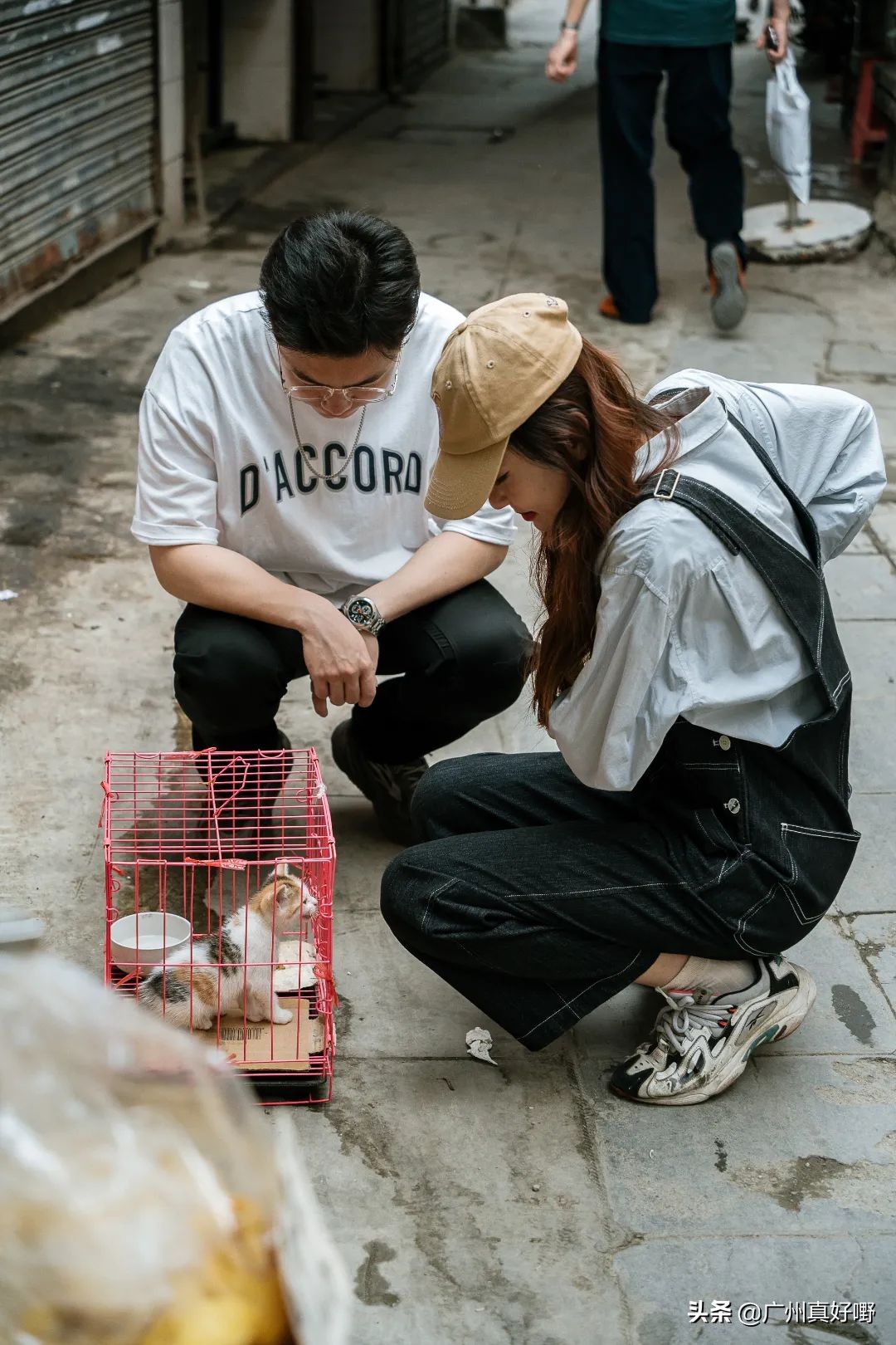 2019广州十大浪漫约会圣地,广州白云哪里适合情侣游玩