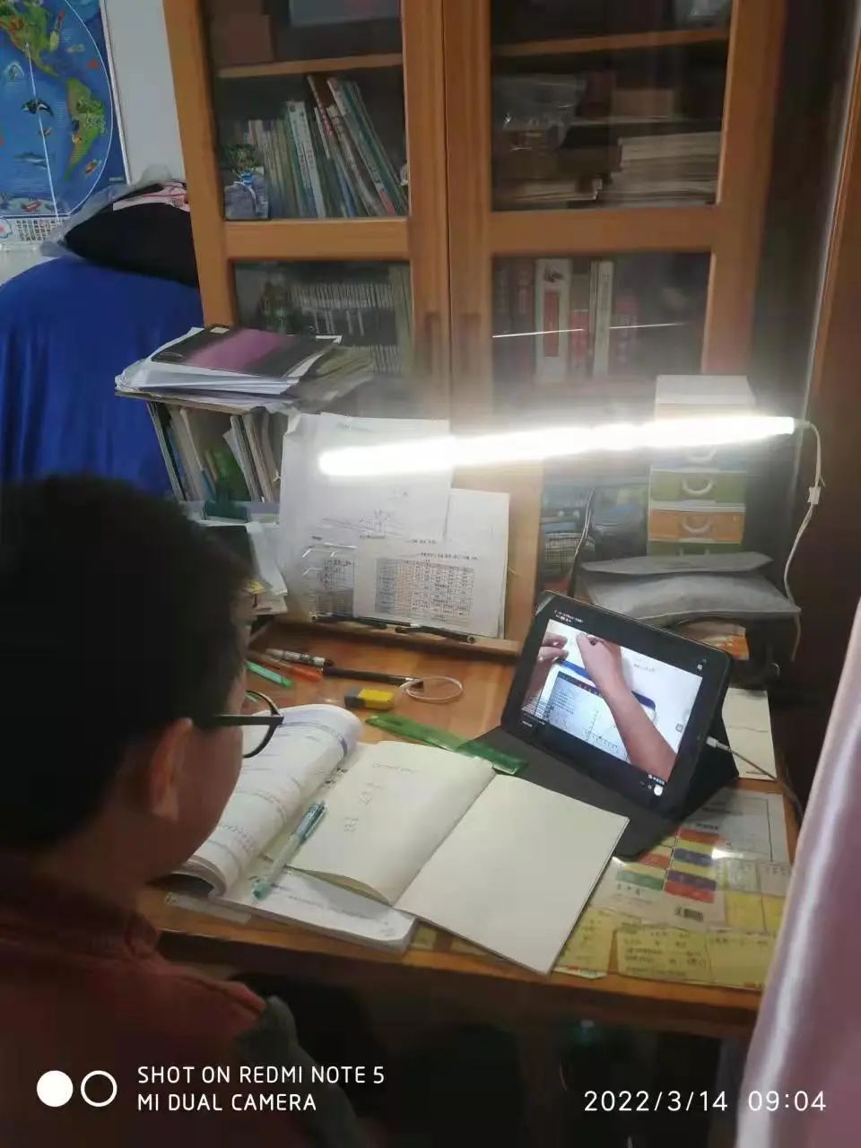 青岛第五十三中学新校区,青岛第五十三中学初中部