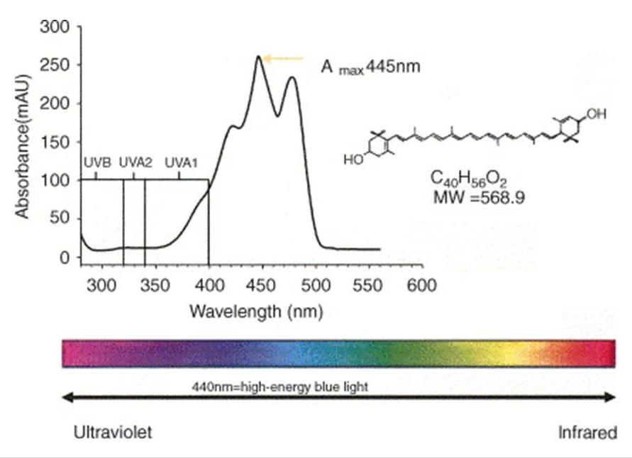 叶黄素我们真的需要吗,爱护叶黄素
