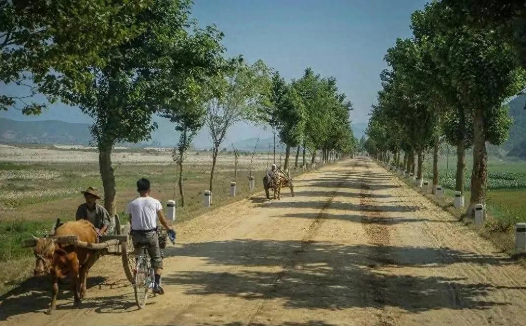 朝鲜之行,朝鲜之行的视频