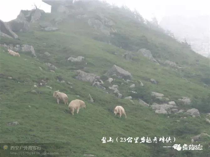 鳌山青峰峡,鳌山穿越要几天