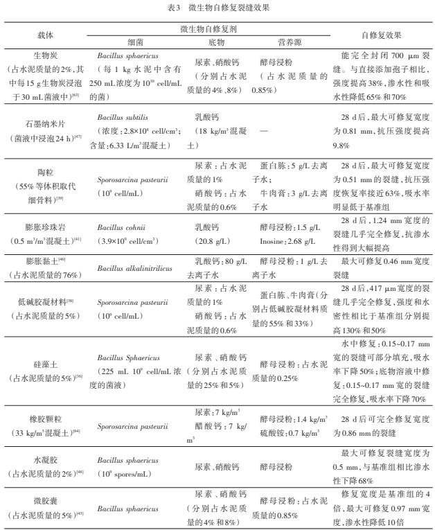 水泥自修复技术,微生物自修复水泥