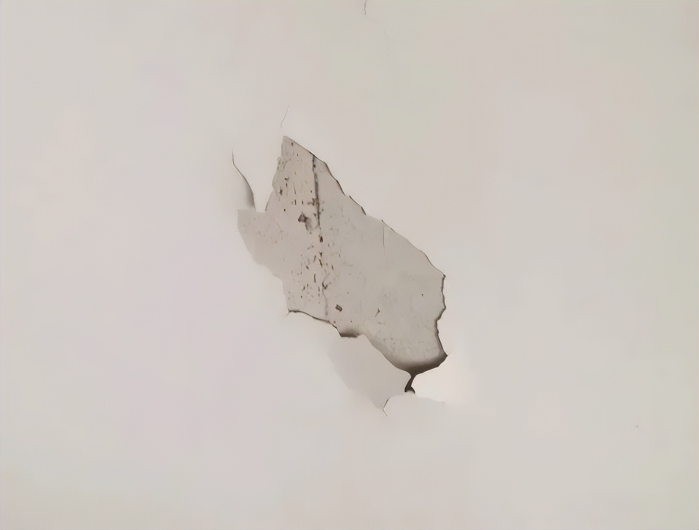 乳胶漆墙面问题有哪些,什么是净味乳胶漆