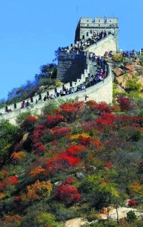心旷神怡风景壁纸,100张绝美自然风景壁纸