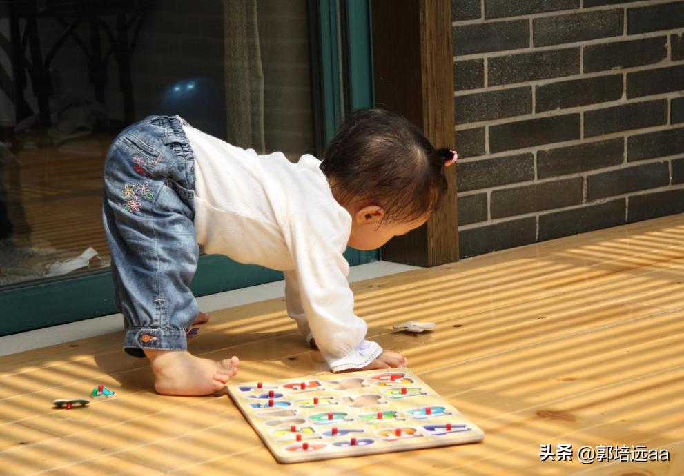 靠树叶一年赚8000万,一片树叶卖7000元