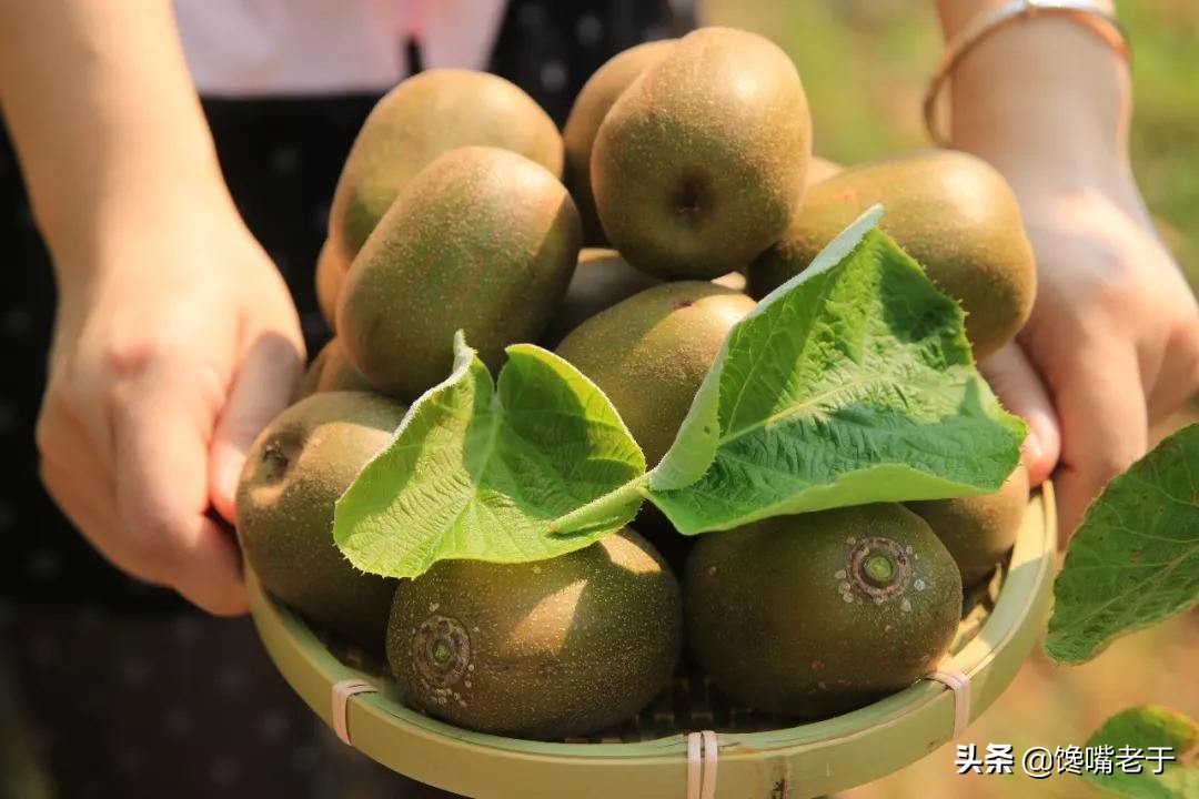 糖分比较低的适合老年人吃的水果,低糖高营养中老年人要多吃