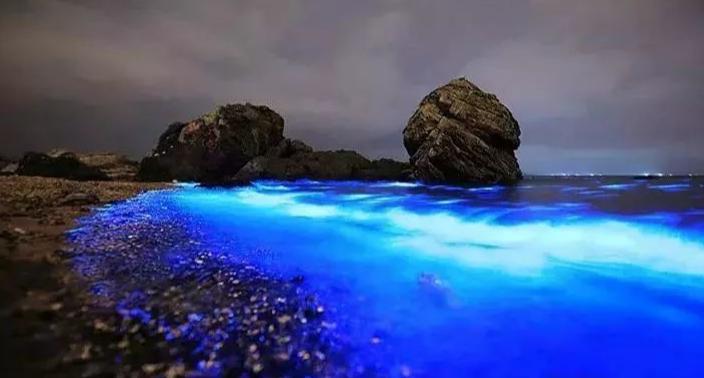 东极岛攻略价格,东极岛攻略需要带什么