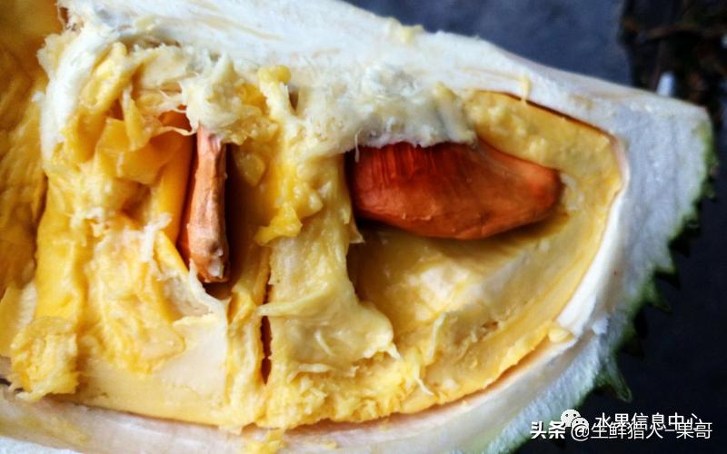 越南产地榴莲最新价格,越南榴莲品种视频