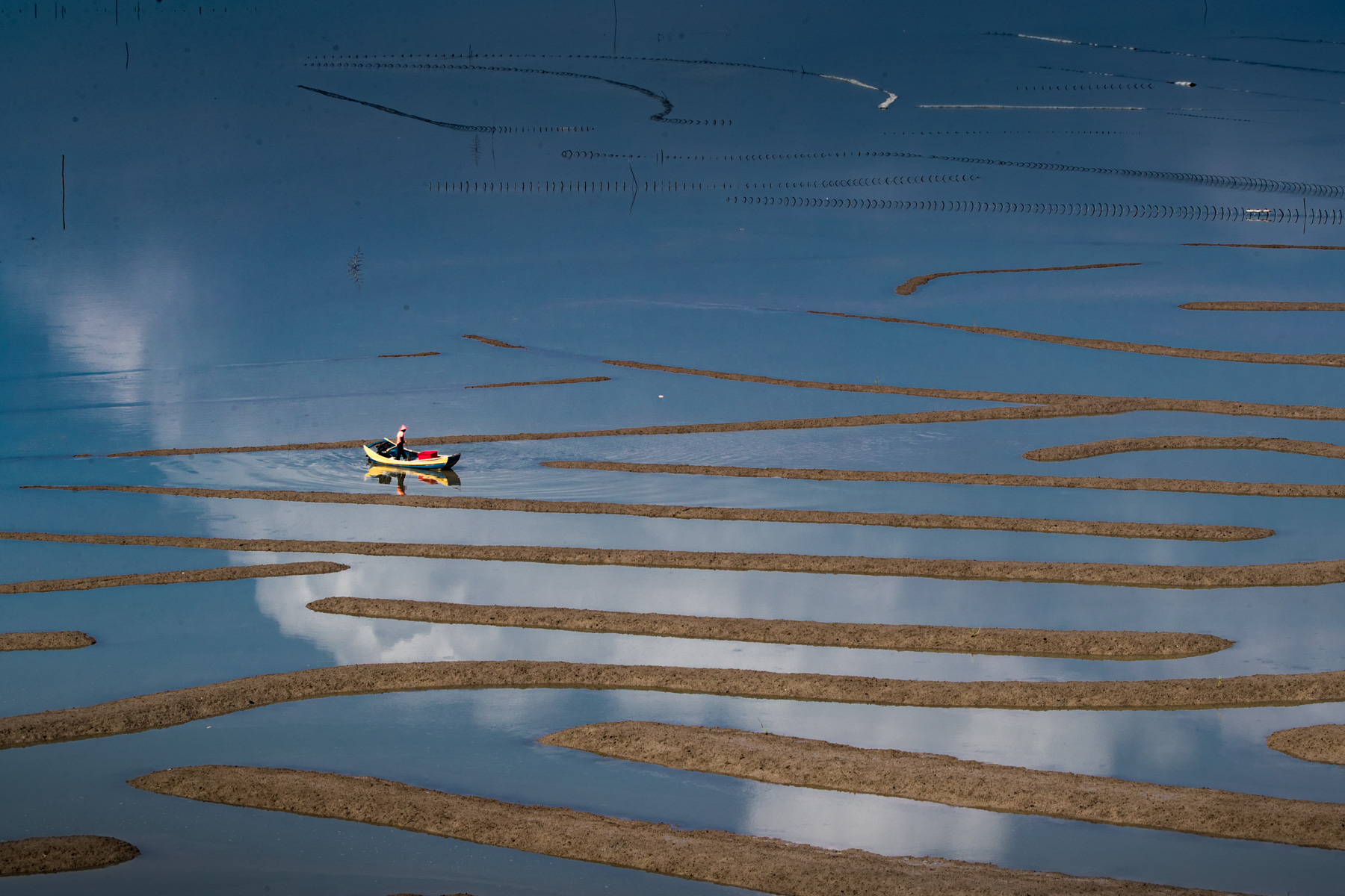 什么是raw格式和jpg格式,什么是raw格式拍摄