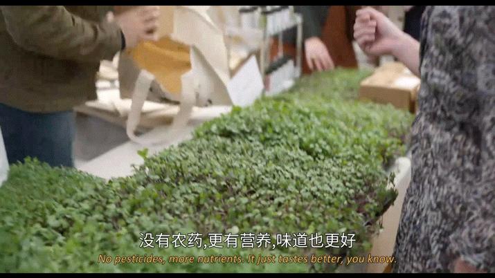 鐚庨拱涓庡啲鍏垫辰鑾敺鐖祐s姝讳緧,缇庨槦鍐叺鐚庨拱姝讳緧