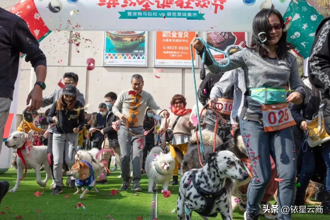 深挖人宠双向友好型空间,观澜湖集团带来哪些值得借鉴的经验?