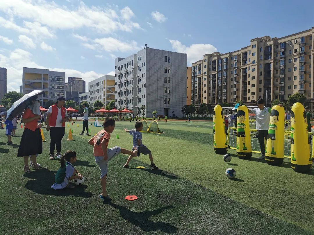 派迪茵体育产品,派迪茵体育直播