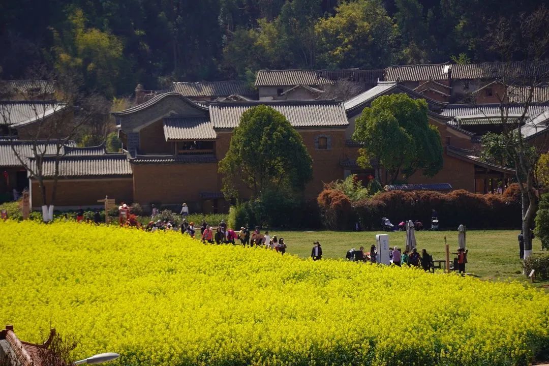 华侨城文旅新征程,华侨城文旅集团
