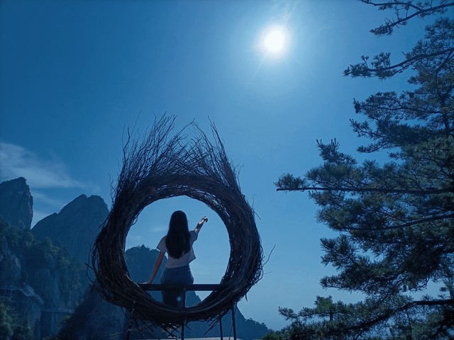 一花一世界一叶一菩提视频,一花一世界一叶一菩提歌词