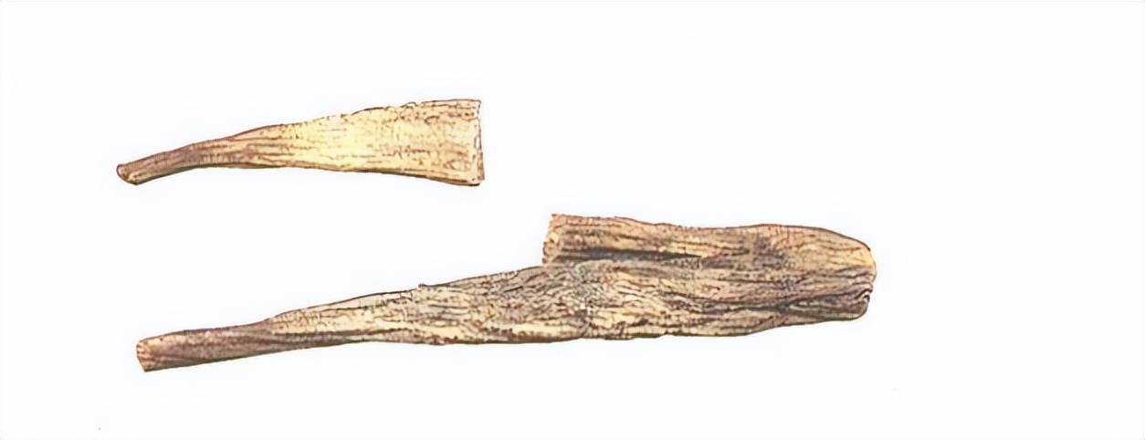 认识红参,带你认识红木