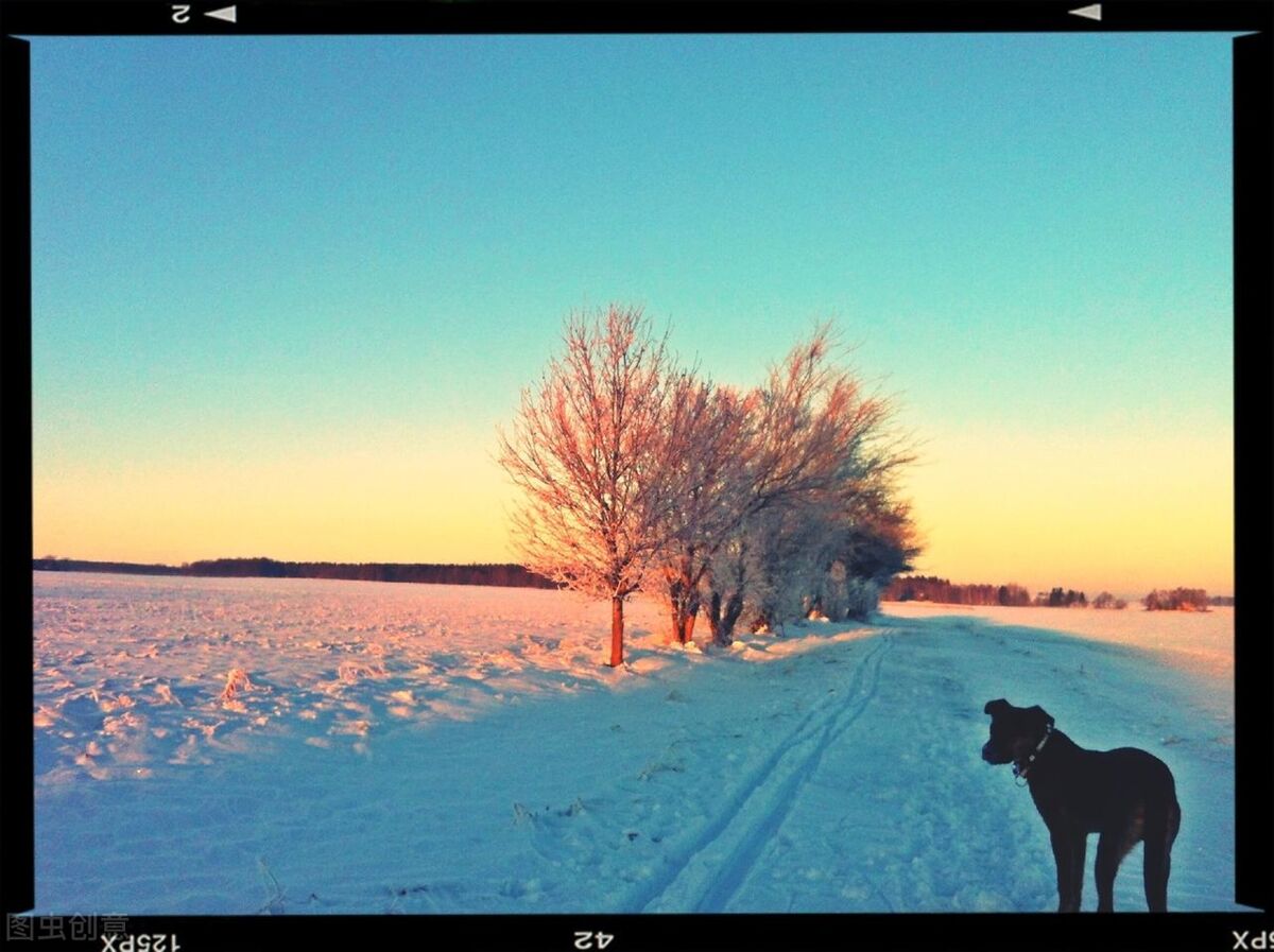 阳弱喝什么水好,阳强阴弱吃什么中药调理