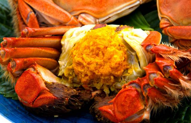 大闸蟹大概什么时候上市,大闸蟹上市的季节各种各样的