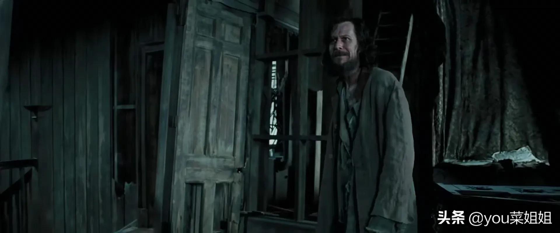 哈利波特为什么不治疗斯内普,哈利波特为什么不救斯内普