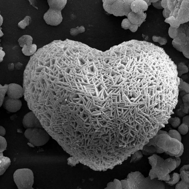 圆梦今夏，筑梦成电|科技人文篇之“科技篇”