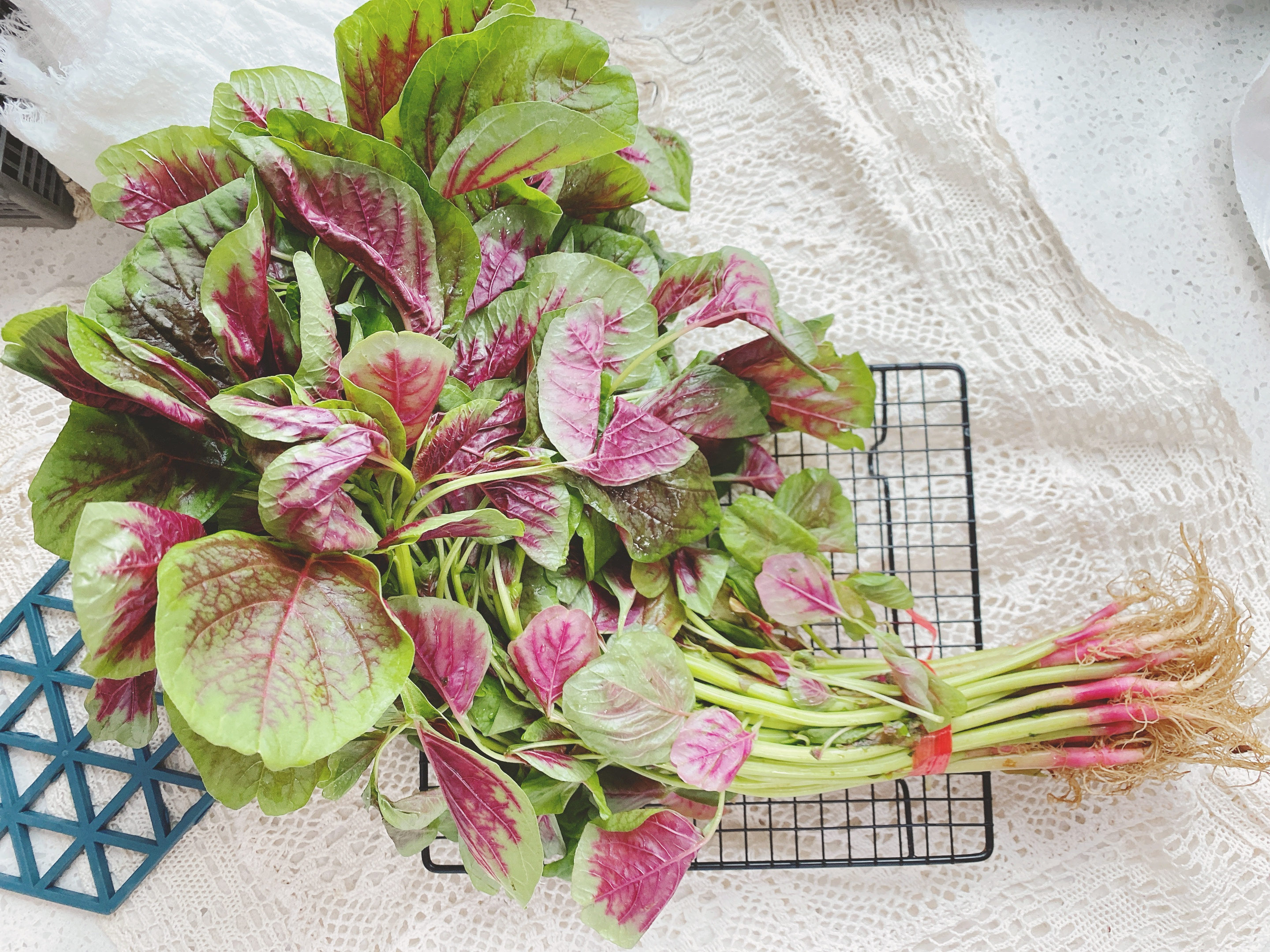 端午节讲究哪五红,端午节五红五黄指的是什么